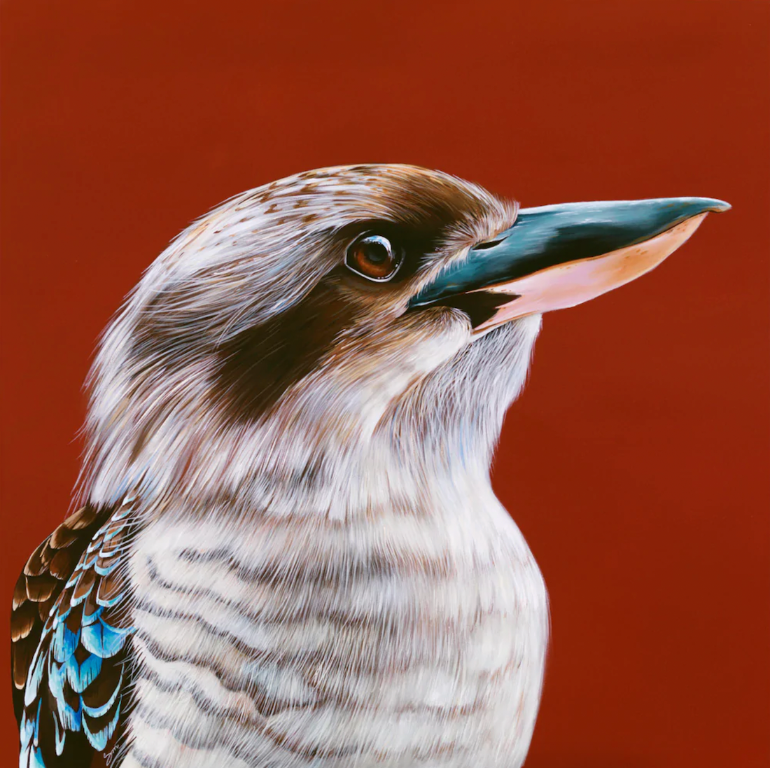 Australian kookaburra artist print