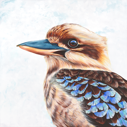 kingfisher kookaburra