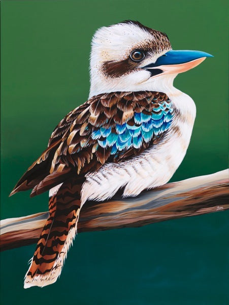 kookaburra in a tree artwork
