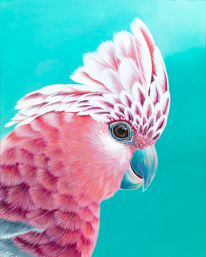 'Charlie' - Fine art Print - Paper