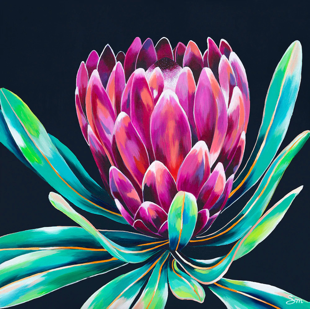 protea pink ice