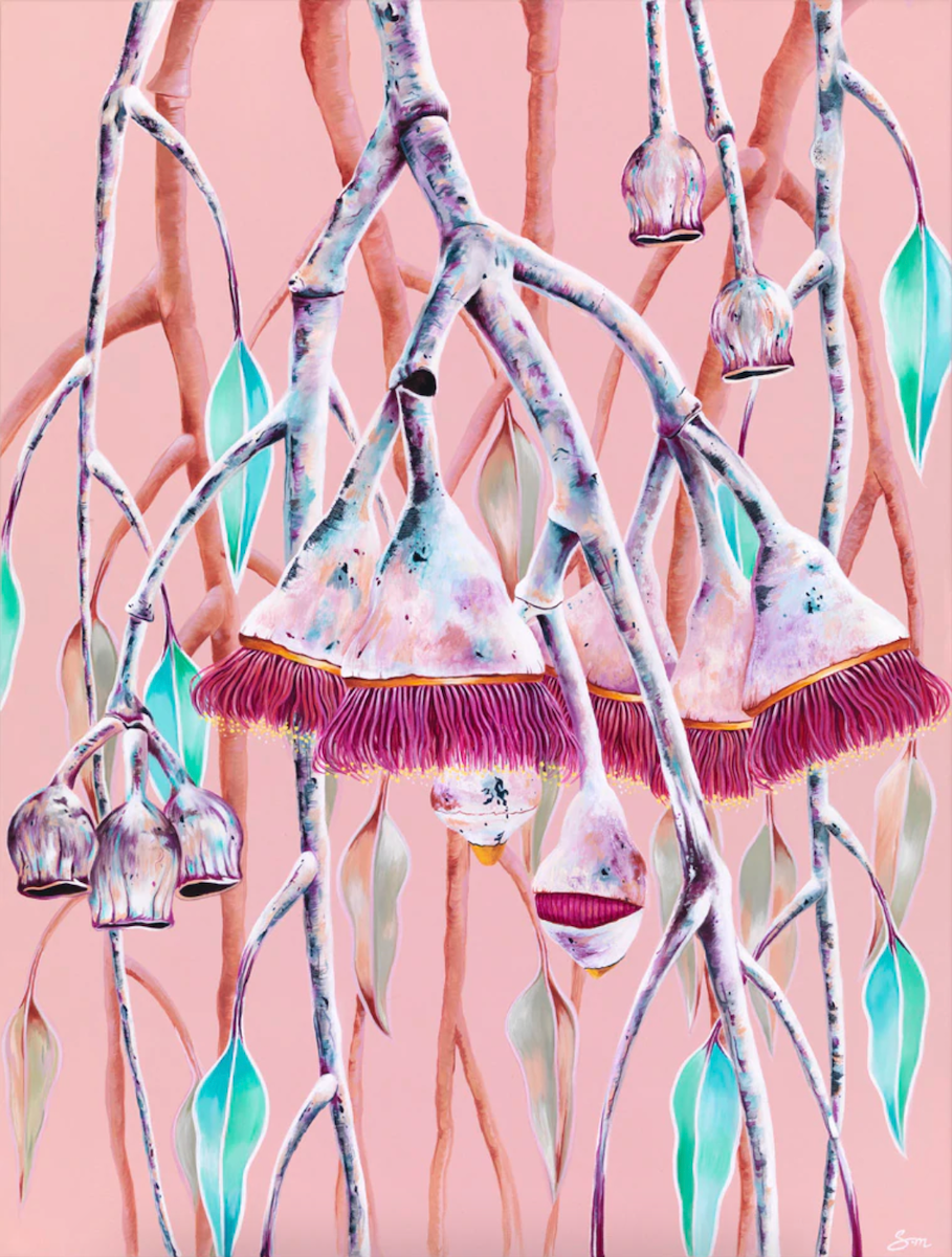 Silver Tranquility Princess Eucalyptus