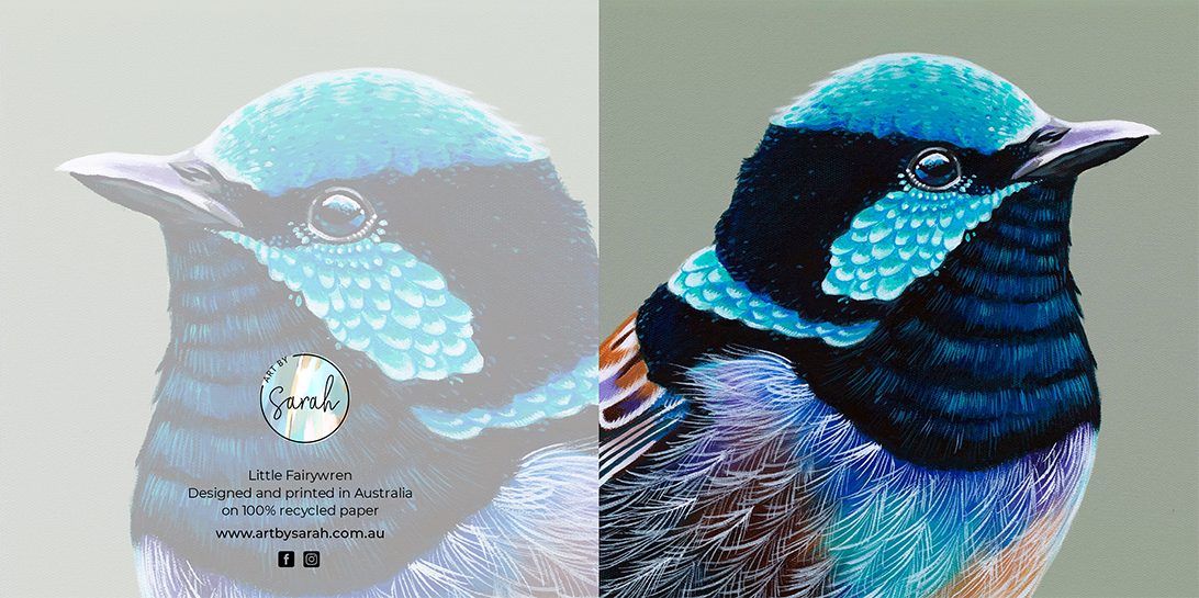 Blue Wren Greeting Card (Square)