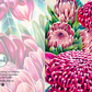 Crimson View Greeting Card (Square)