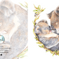 Koala Love Greeting Card (Square)