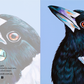 Magpie Greeting Card (Square)