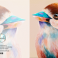 Little Kookaburra Greeting Card (Square)