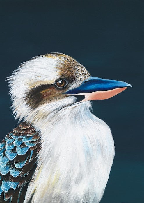 Kevin kookaburra art print A size