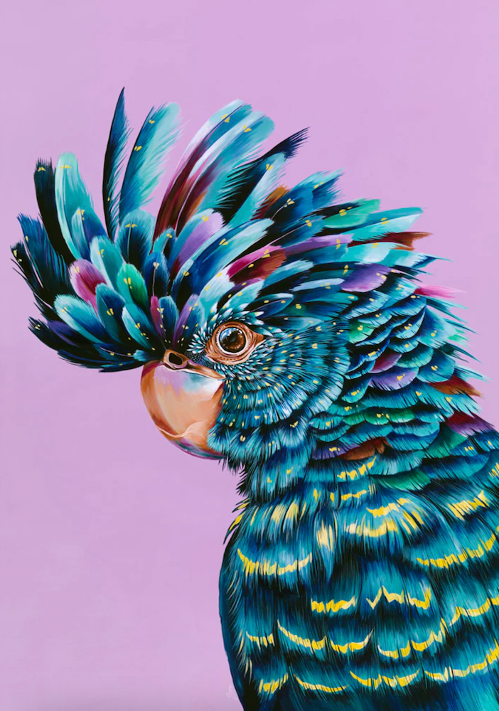 Australian Black Cockatoo Art