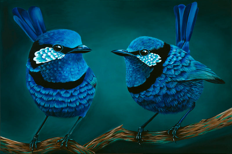 blue wren