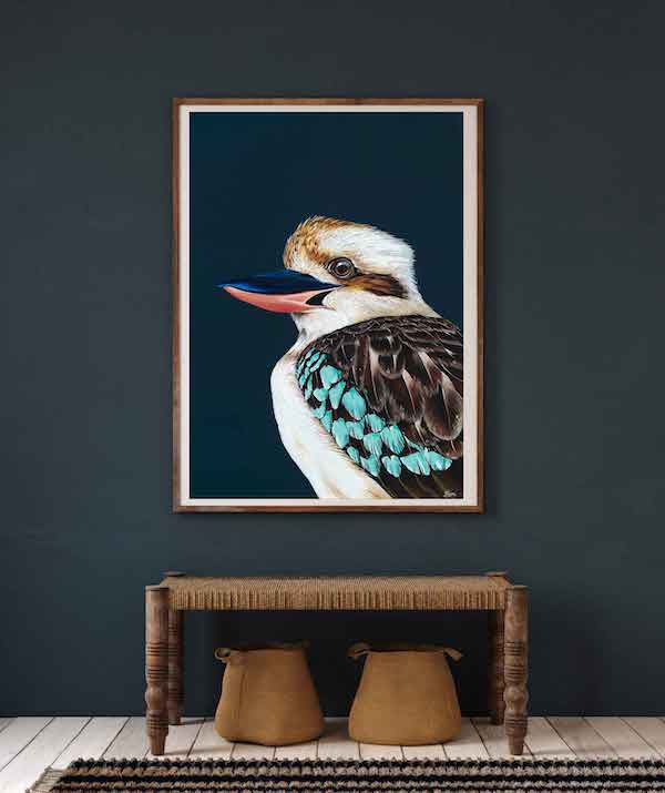 Kookaburra Print framed