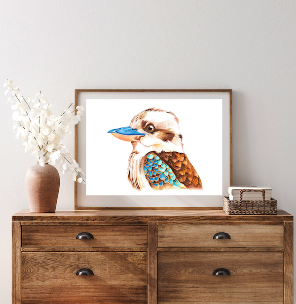 kookaburra wall print framed