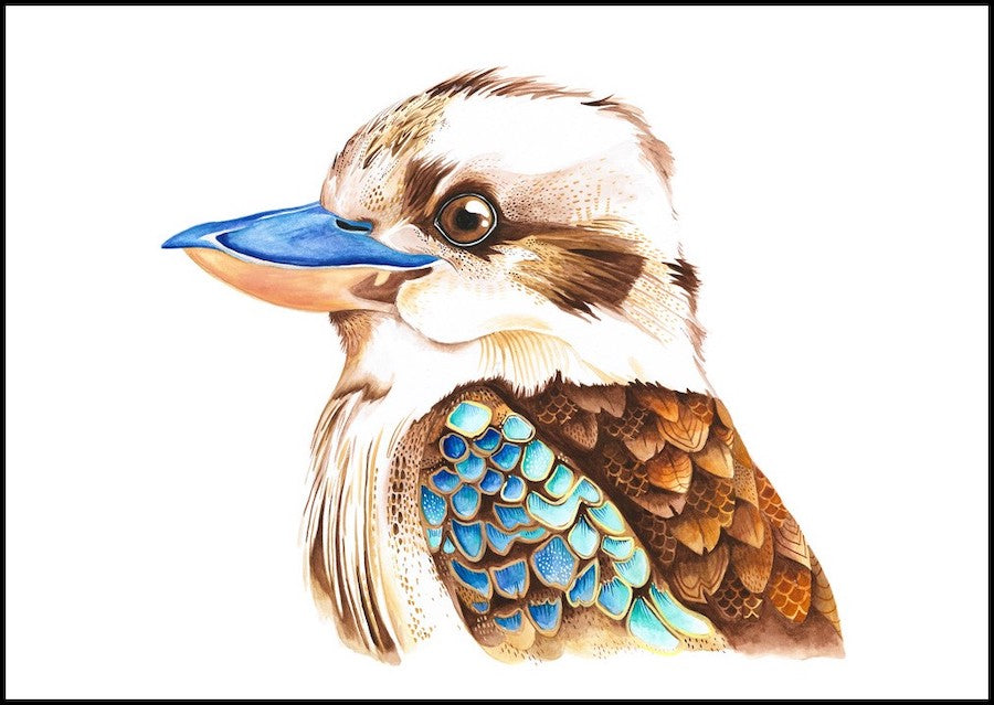 kookaburra wall print