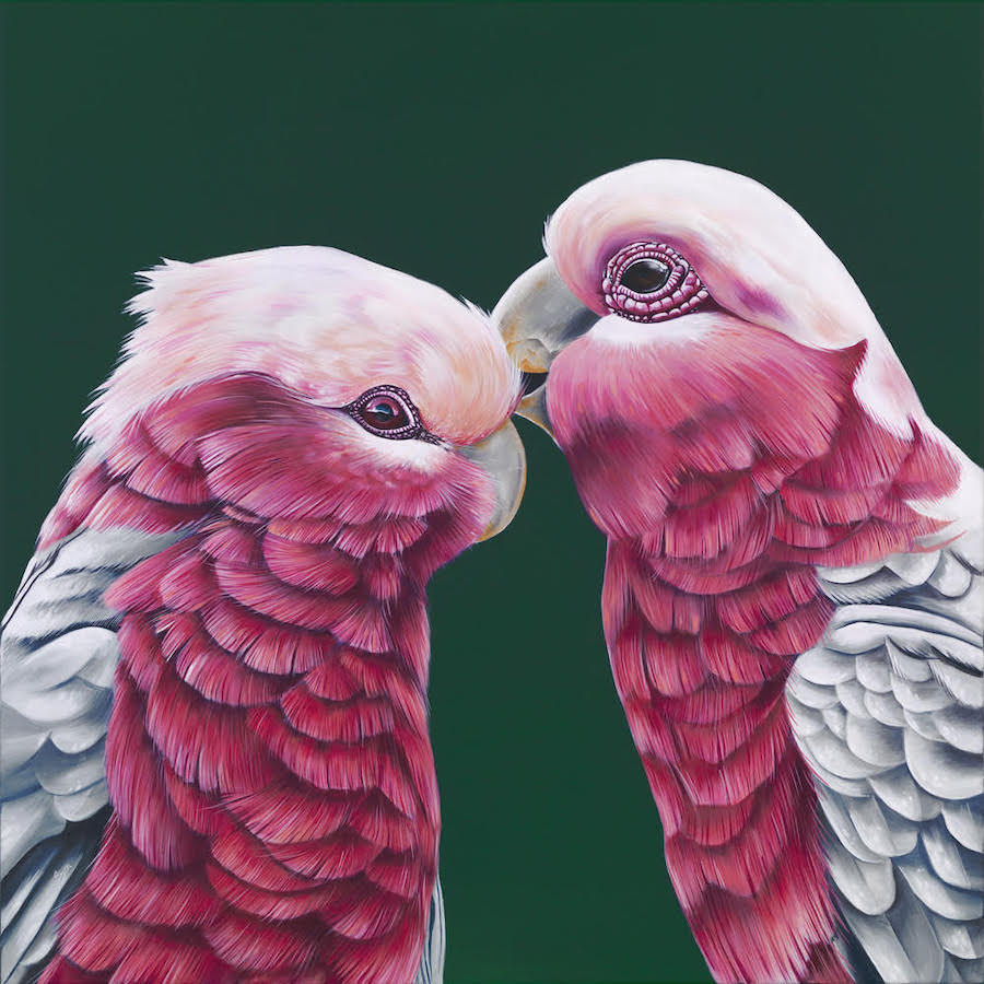 pink galah print