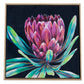 Australian Artist Pink Protea Framed Canvas