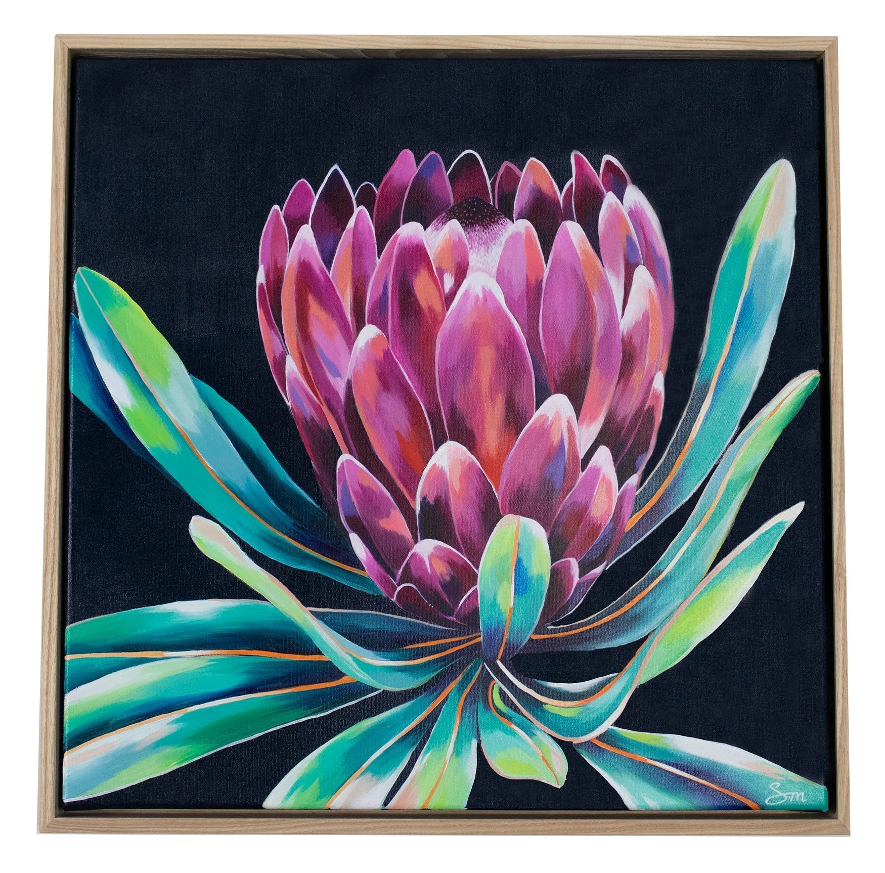 Australian Artist Pink Protea Framed Canvas